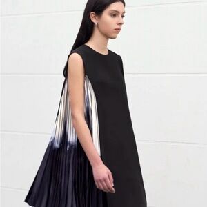 Side printed pleated shift dress